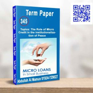 The role of micro credit in the institutionalization of peace